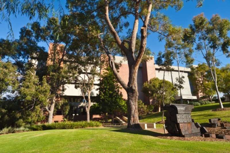 Curtin Library 2 Medium