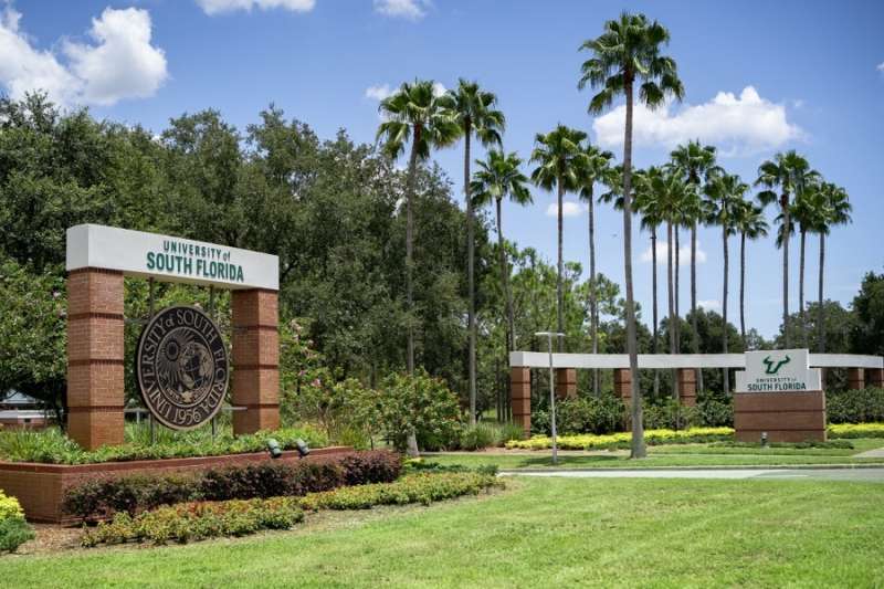 Flywire case study usf