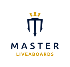 Business & Commercial Manager, Master Liveaboards
